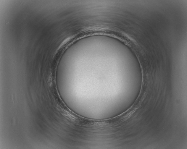 X0000060741306200511100901