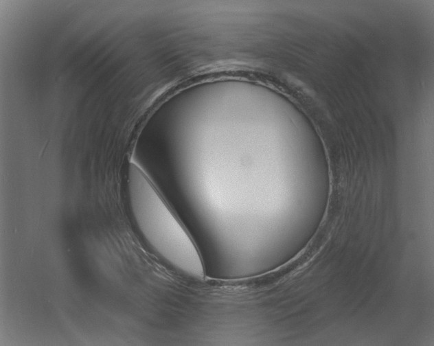 X0000060741313200511100901
