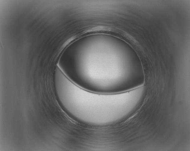 X0000060741321200511100901