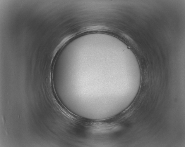 X0000060741322200511100901