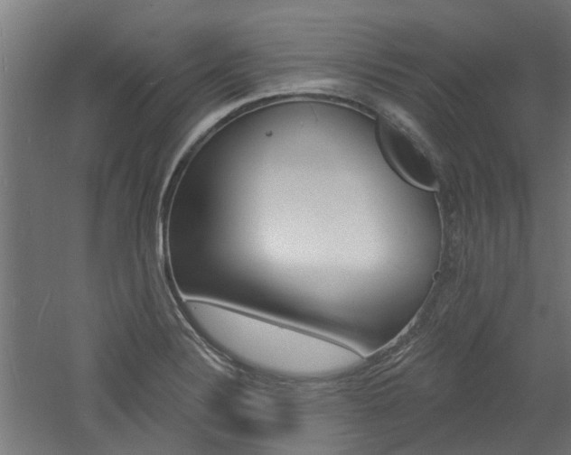 X0000060741324200511100901