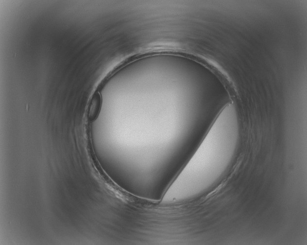 X0000060741325200511100901
