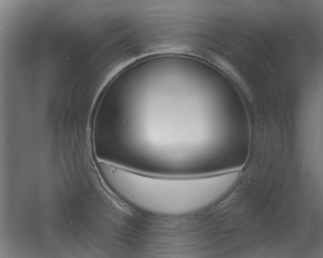 X0000060741332200511100901