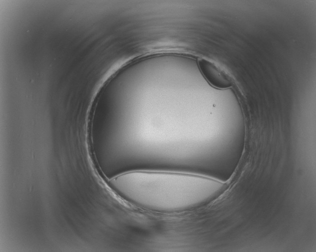 X0000060741333200511100901