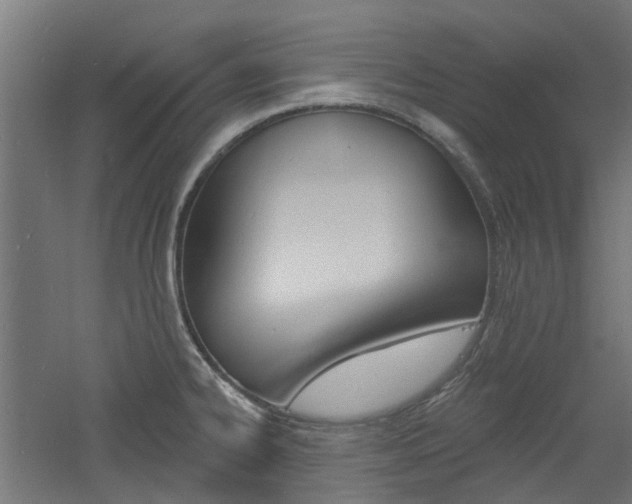 X0000060741334200511100901