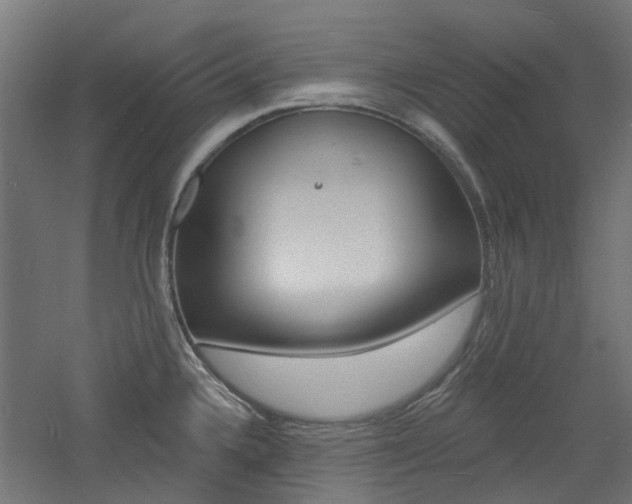 X0000060741336200511100901