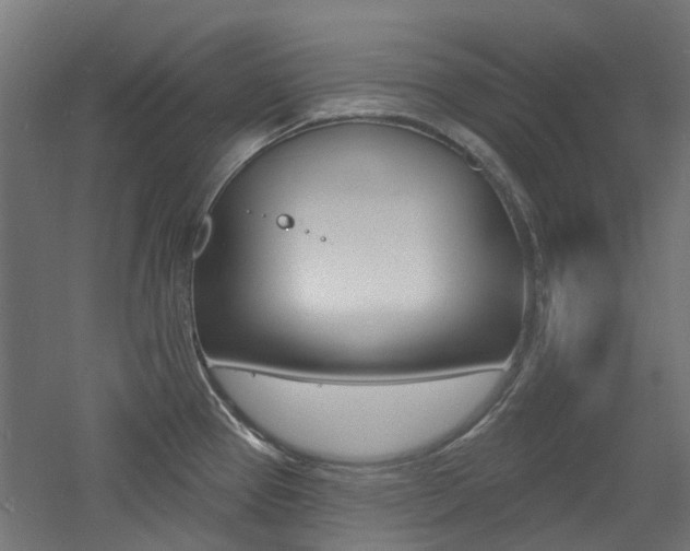 X0000060741337200511100901