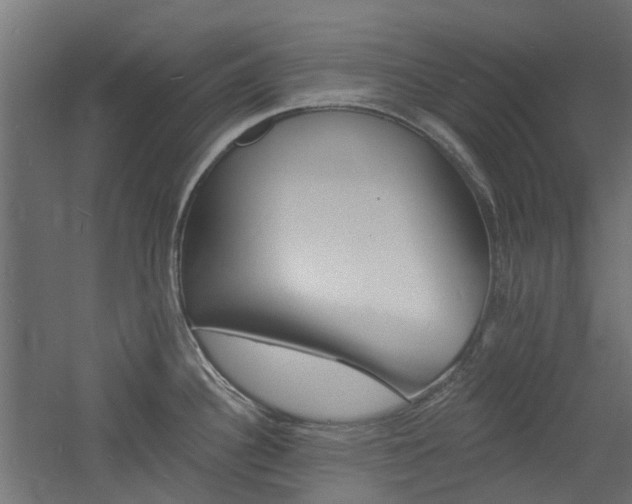 X0000060741340200511100901