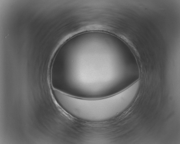 X0000060741342200511100901
