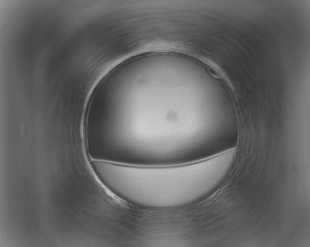 X0000060741343200511100902