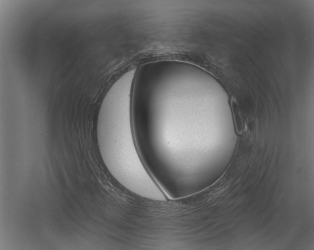X0000060741348200511100901