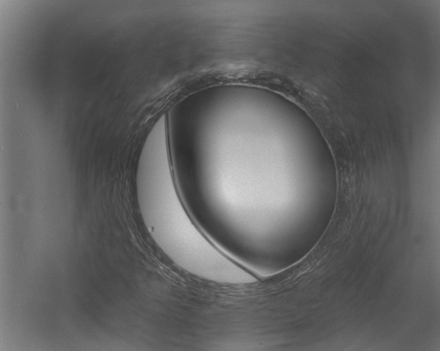 X0000060741349200511100901