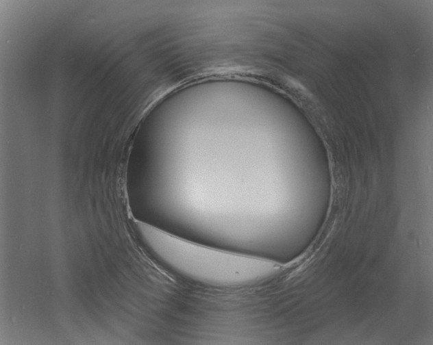 X0000060741361200511100900