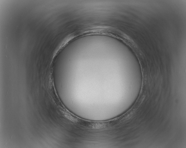 X0000060741362200511100900