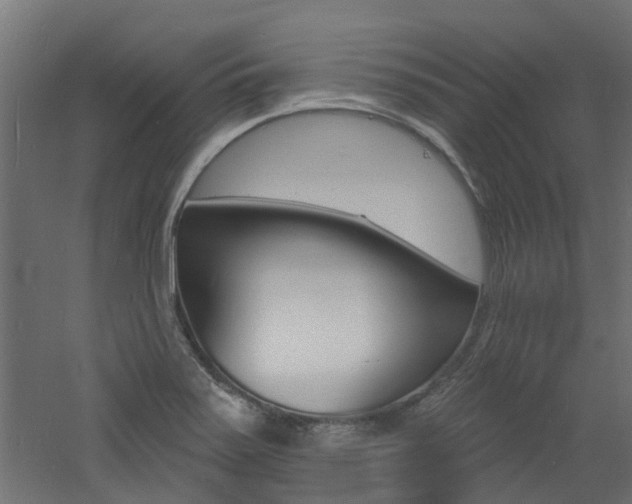 X0000060741371200511100900