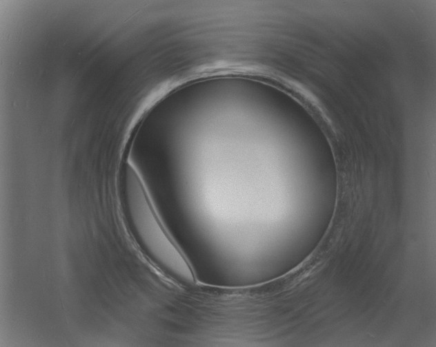 X0000060741373200511100900
