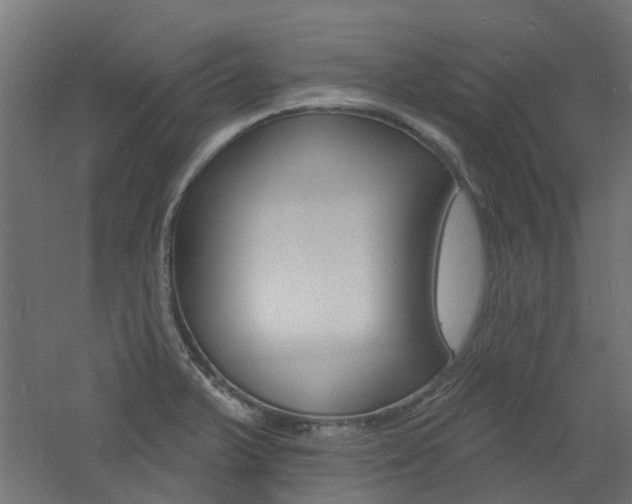 X0000060741375200511100900