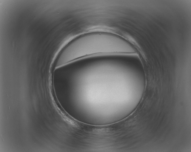 X0000060741376200511100900