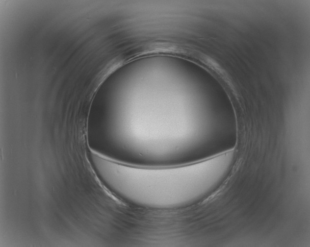 X0000060741377200511100900