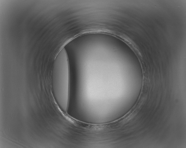 X0000060741385200511100900