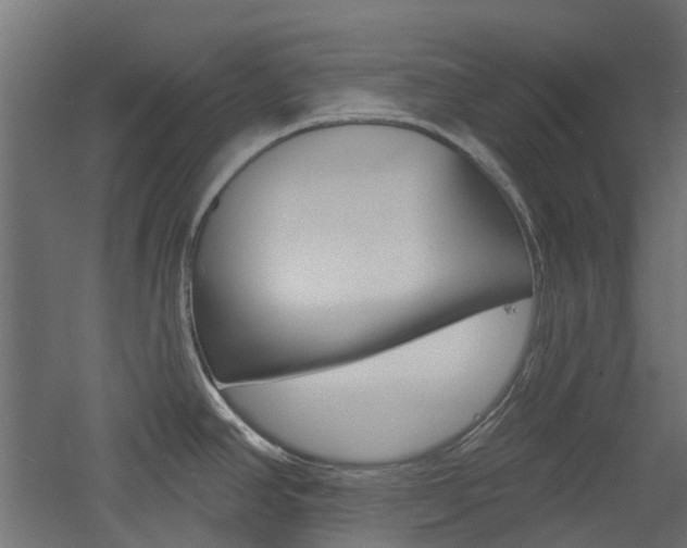 X0000060741390200511100900