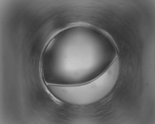 X0000060741391200511100900