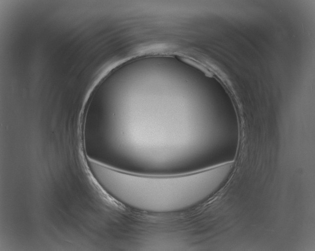 X0000060741392200511100900