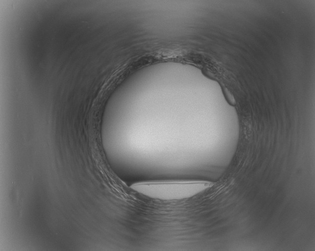 X0000060741393200511100859