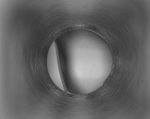 X0000060741394200511100859