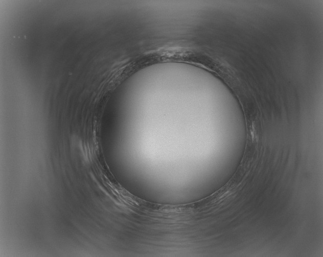 X0000060741396200511100859