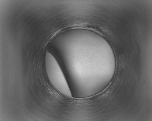 X0000060741401200511100859