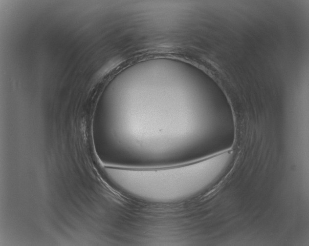 X0000060741402200511100859