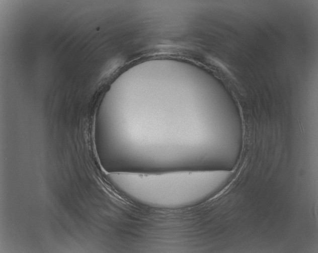 X0000060741403200511100859
