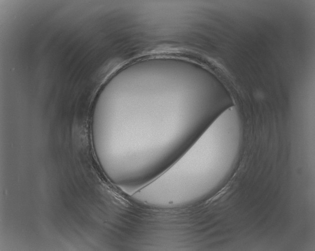 X0000060741409200511100859