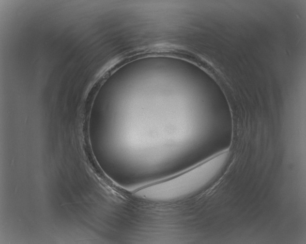 X0000060741410200511100859