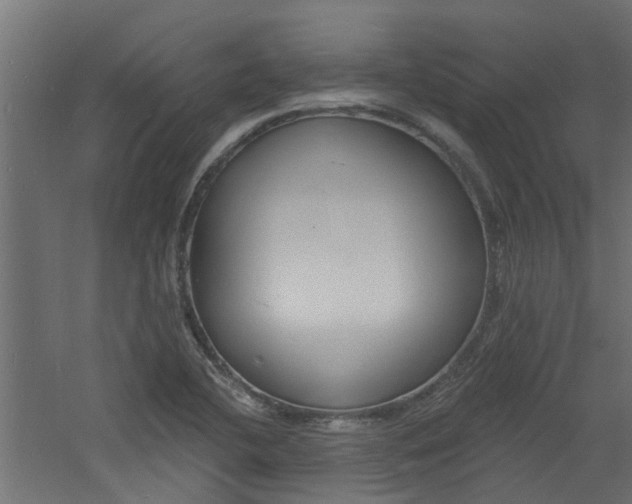 X0000060741412200511100859