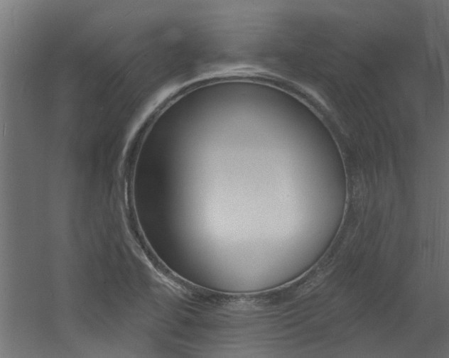 X0000060741414200511100859