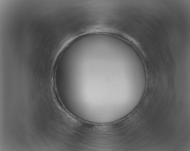 X0000060741415200511100859