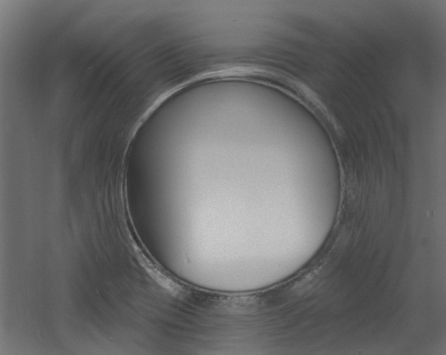 X0000060741417200511100859