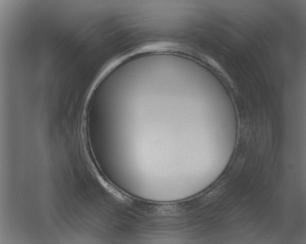 X0000060741421200511100900
