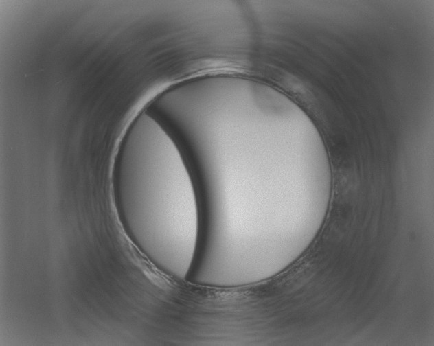 X0000060741427200511100900