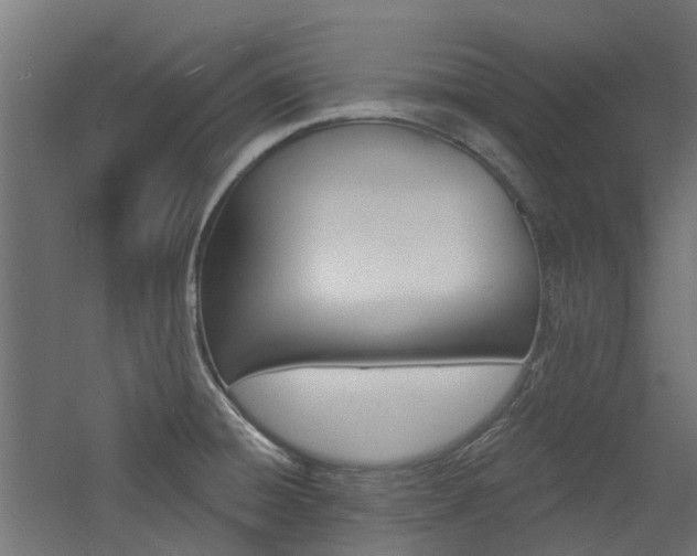 X0000060741428200511100900
