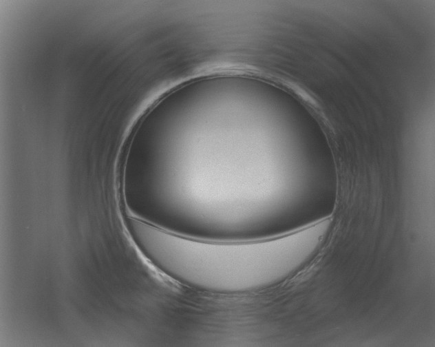 X0000060741430200511100900