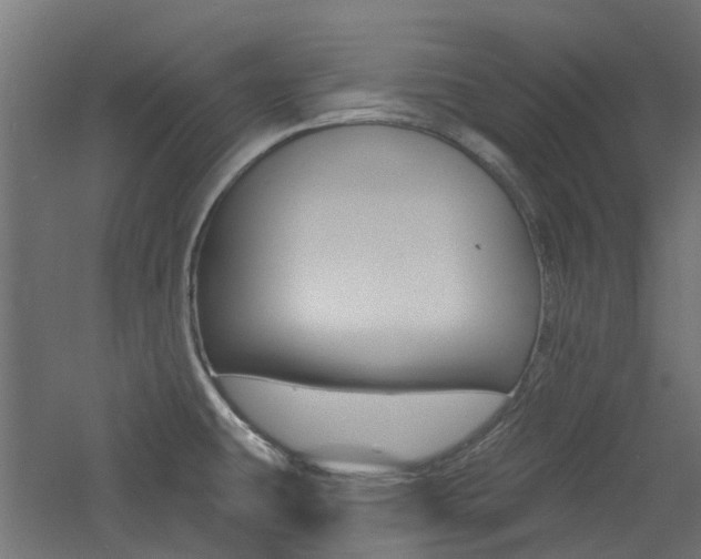 X0000060741431200511100900