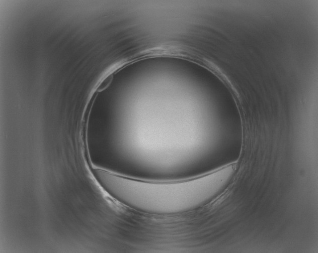 X0000060741434200511100900