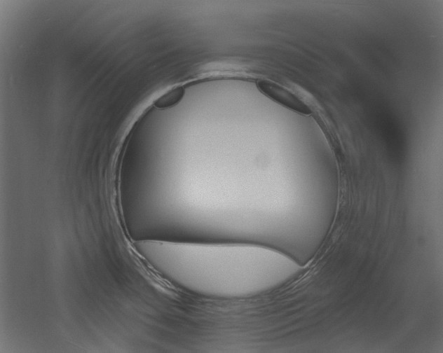 X0000060741435200511100900