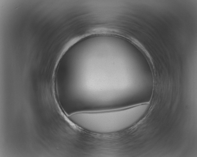X0000060741437200511100900