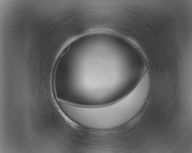 X0000060741438200511100900