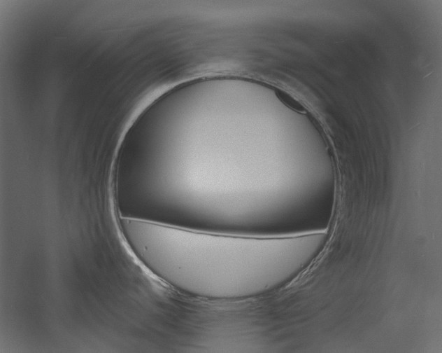 X0000060741440200511100900