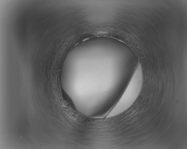 X0000060741441200511100859